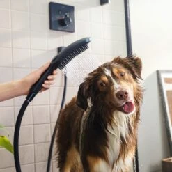Hansgrohe DogShower Hundebrause 150 3 Strahlarten Select -Megabad Verkäufe hansgrohe brausenprogramm hundebrause dogshower 150 3 6010381
