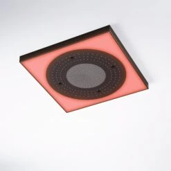 Steinberg Serie 390 Sensual Rain Regenpaneel